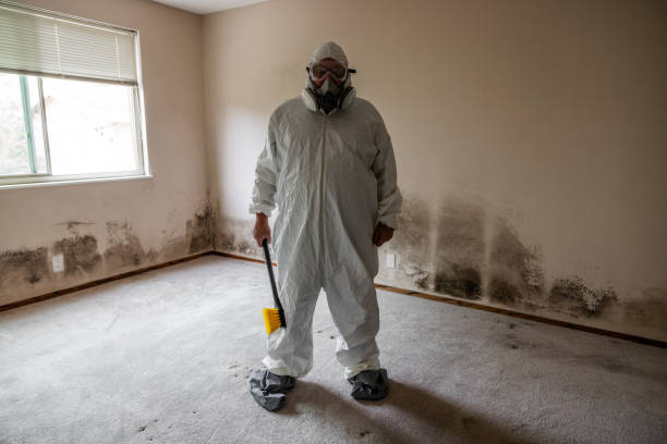Water Damage Restoration in Eunice, LA