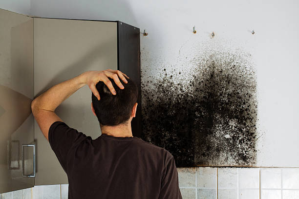 Best Crawl Space Mold Removal  in Eunice, LA